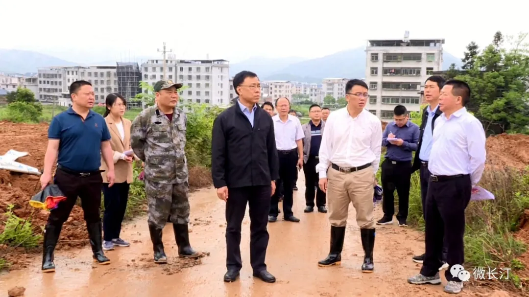 长汀县长马水清带队开展征地拆迁清表工作调研