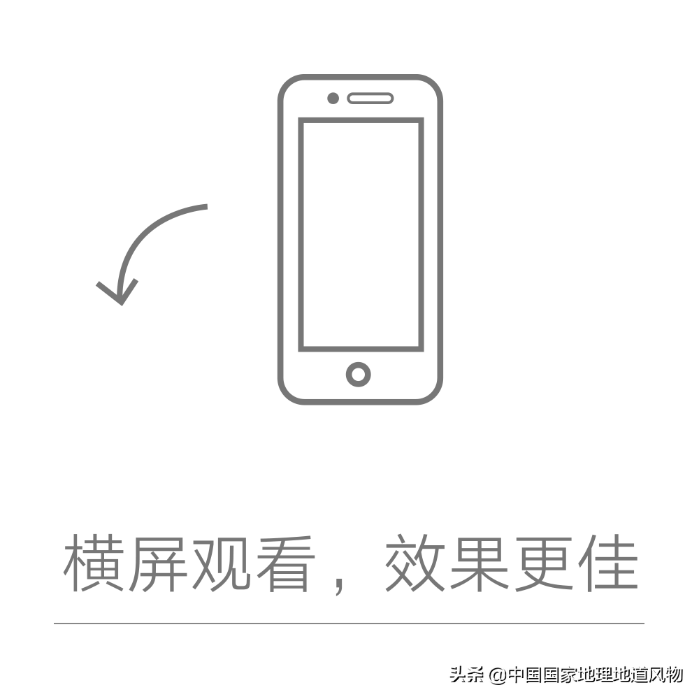 山东、河南、江苏、黑龙江…谁才是中国第一粮仓？