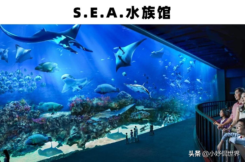 世界上存在着的11个巨大而神奇的水族馆