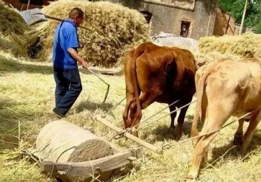 追忆80年代的农村生活