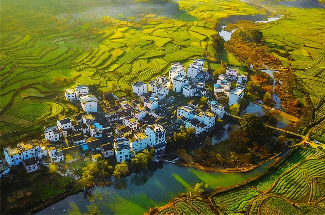 又是一年赏花时!2021全新踏春攻略,11处浪漫花海,安排上