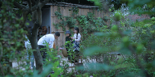 时间有点忒快了，又是一年忙秋收的季节