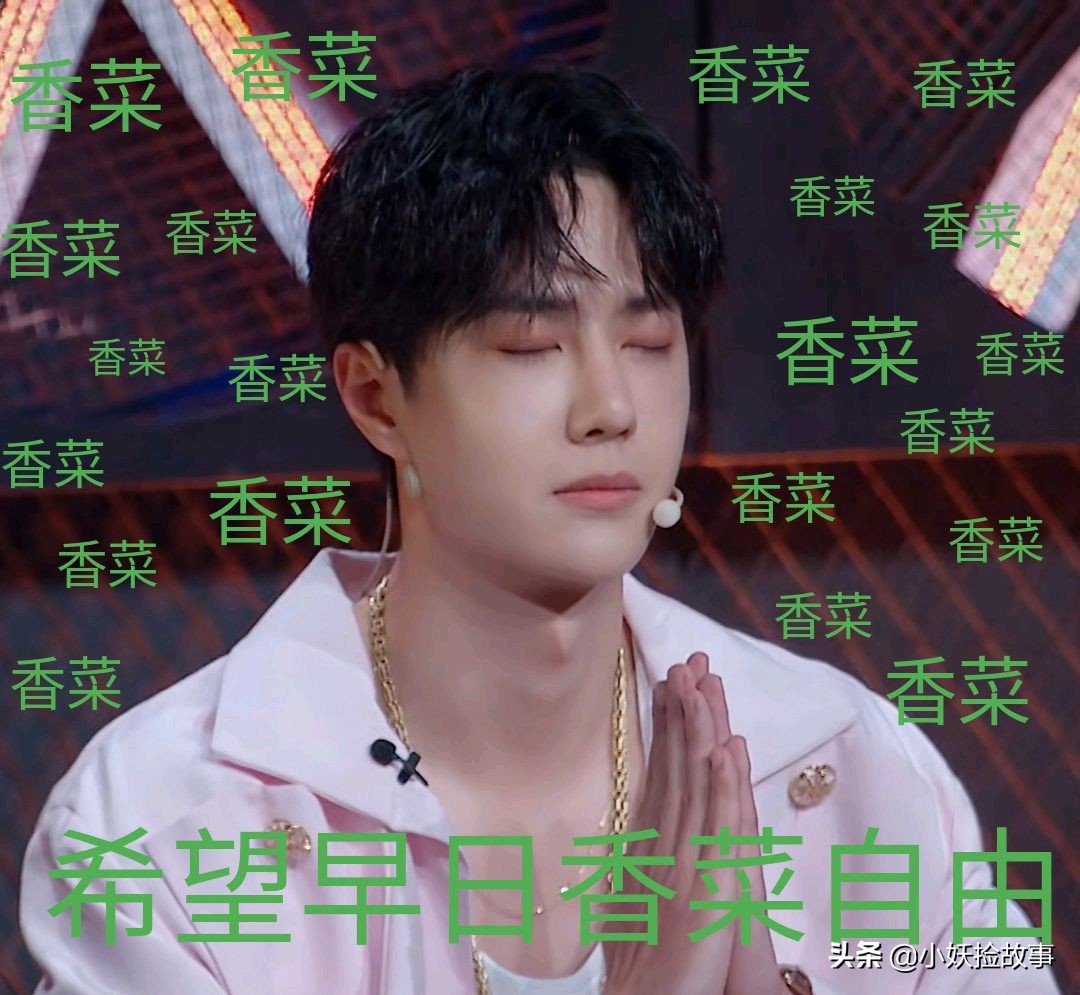王一博粉丝拿香菜应援 等了一片寂寞弹幕刷屏人气高