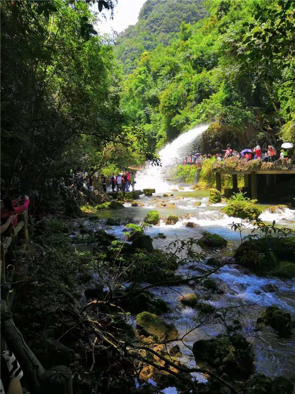 贵州旅游线路自由行五日游,贵州本地私人导游和贵州旅游景点介绍