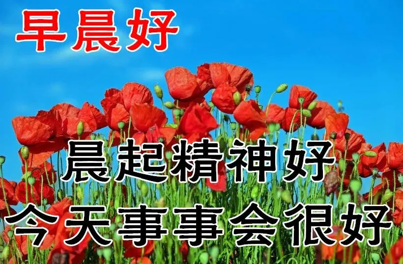 清晨问候早安的简短语句新的一天早安祝福语精美语句