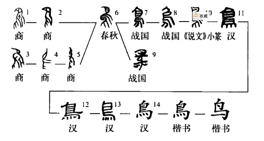 鸟的笔顺怎么写国锋练字公益课堂丨鸟字的写法