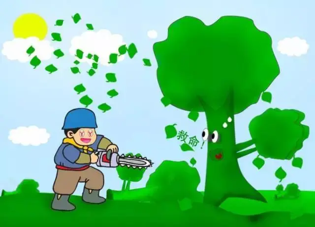 第一起!漓江边上滥伐林木,漓江生态环境保护检察室批准逮捕!