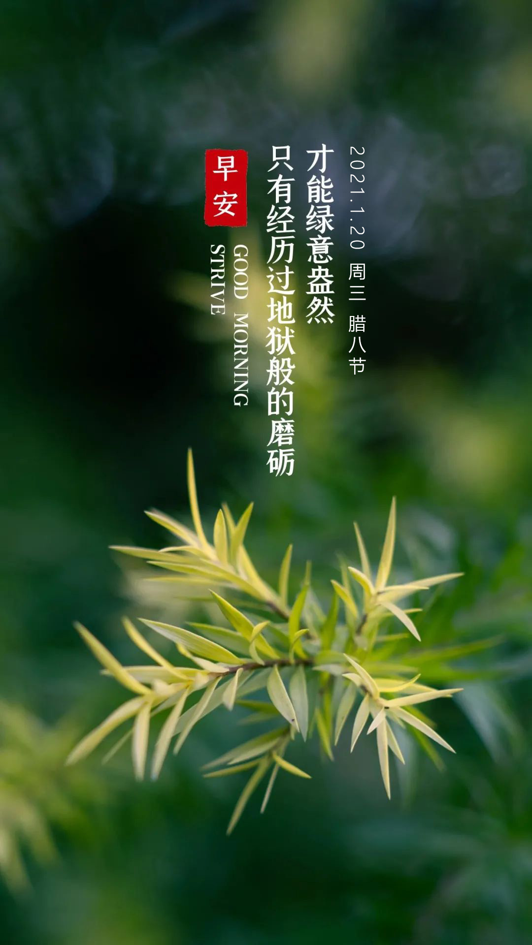 微信分享最正能量阳光的早安心语图片 热忱累积,努力好当下