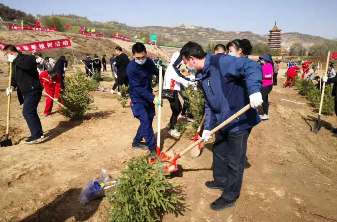 西固区应急管理局党员干部参加春季植树活动