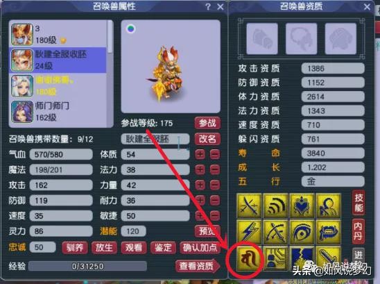 梦幻西游：第1狮驼杨洋颠覆2狗认知，梧桐成阻止渔岛更新的那个人