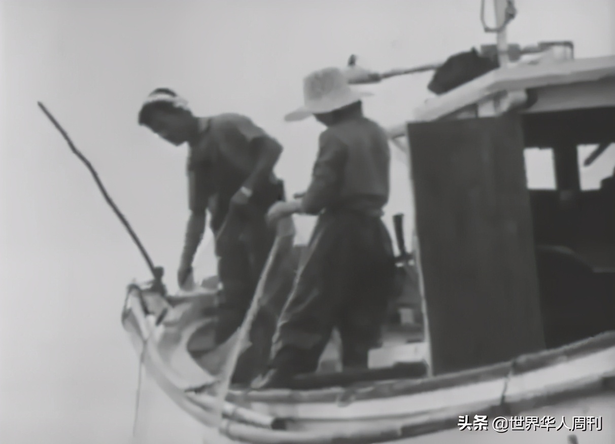 60年前轰动世界的汞中毒事件