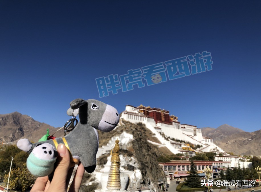 梦幻西游：小姐姐带小灰驴浪遍全国，抗癌玩家收到秋杀冠军奖牌