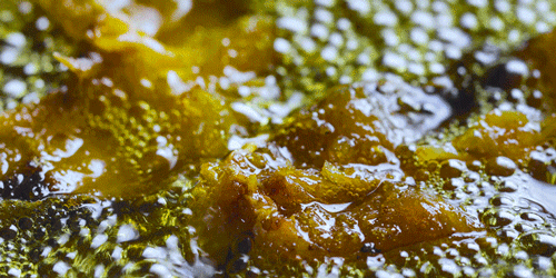 时间有点忒快了，又是一年忙秋收的季节