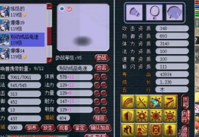 梦幻西游：乐哥109级神威号召唤兽展示，三特殊画魂一骑绝尘