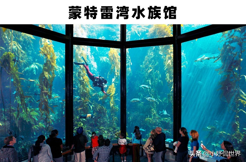 世界上存在着的11个巨大而神奇的水族馆