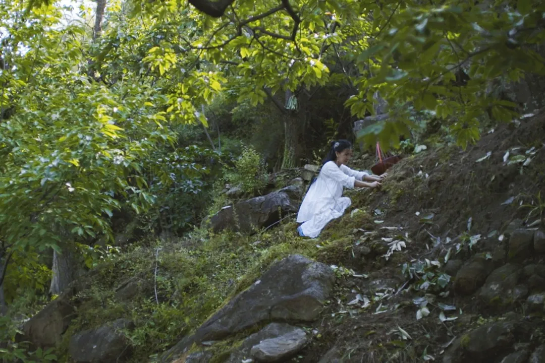 10个女友抱团进山，造出京郊一片超美野地