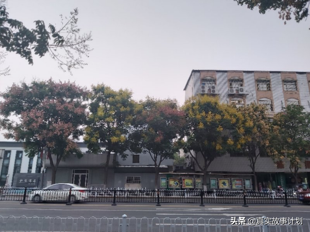 年轻人独居到底有多可怕？