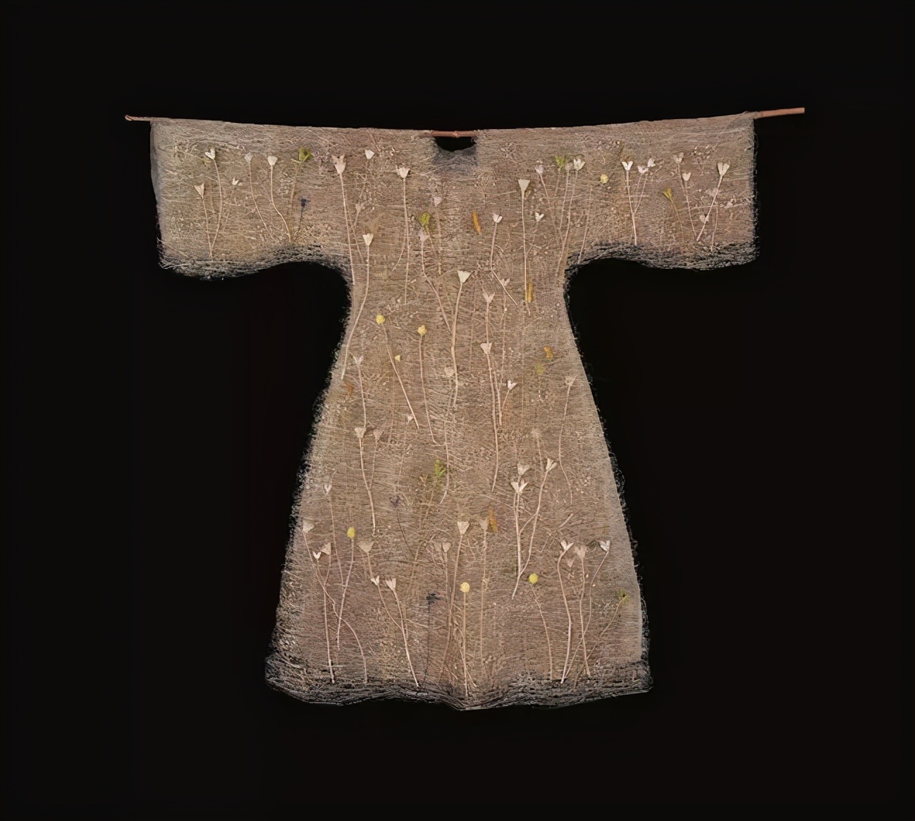 67岁单身阿姨在北京买地隐居，一个人住2000㎡