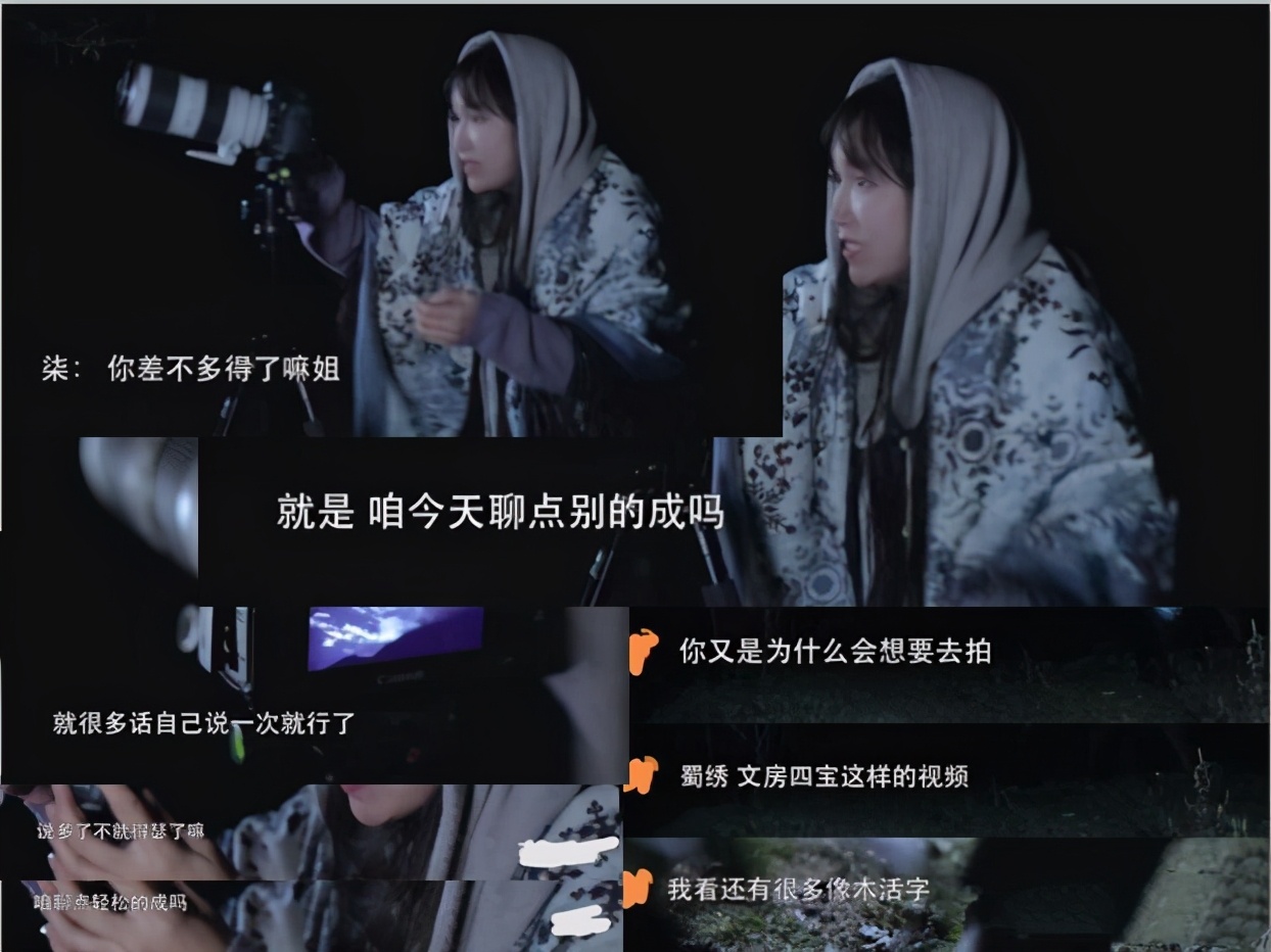 记者采访网红李子柒被怼是什么原因,李子