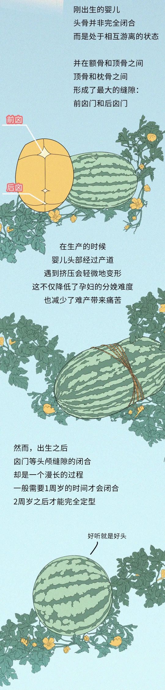 究竟是什么神秘力量，让中国孩子集体扁了头？