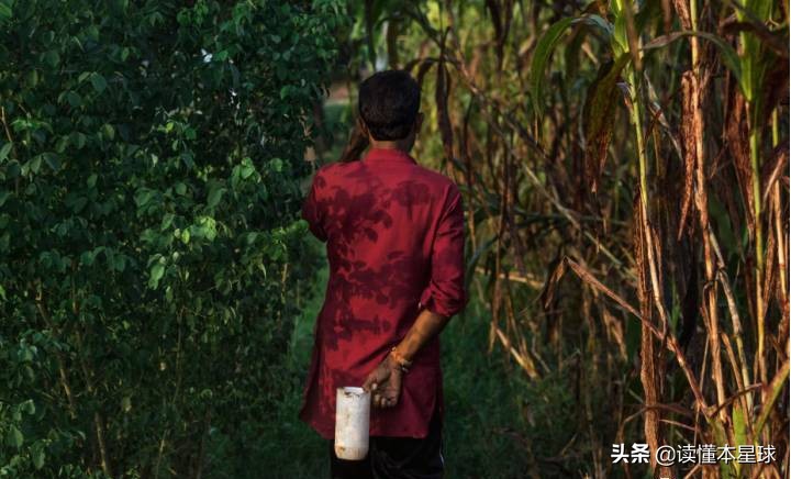 在印度，为什么用厕所会特别难？