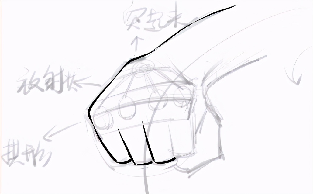 动漫人物握拳的手怎么画?超实用动漫握拳姿势画法,一看就会!