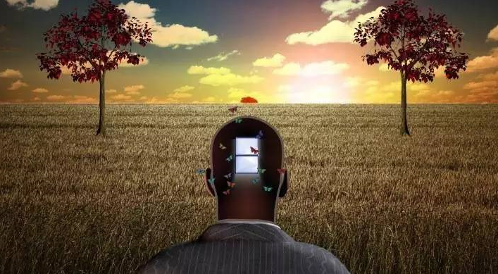 低智商的人反应快，高智商的人反应慢