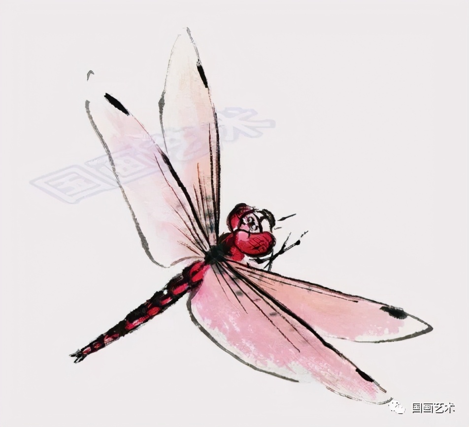 图文教程:写意蝴蝶,蜻蜓画法范例