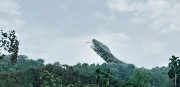 至于像《大蛇2》这样的电影,制作人拍摄出来,靠其赚了一笔钱,但却不