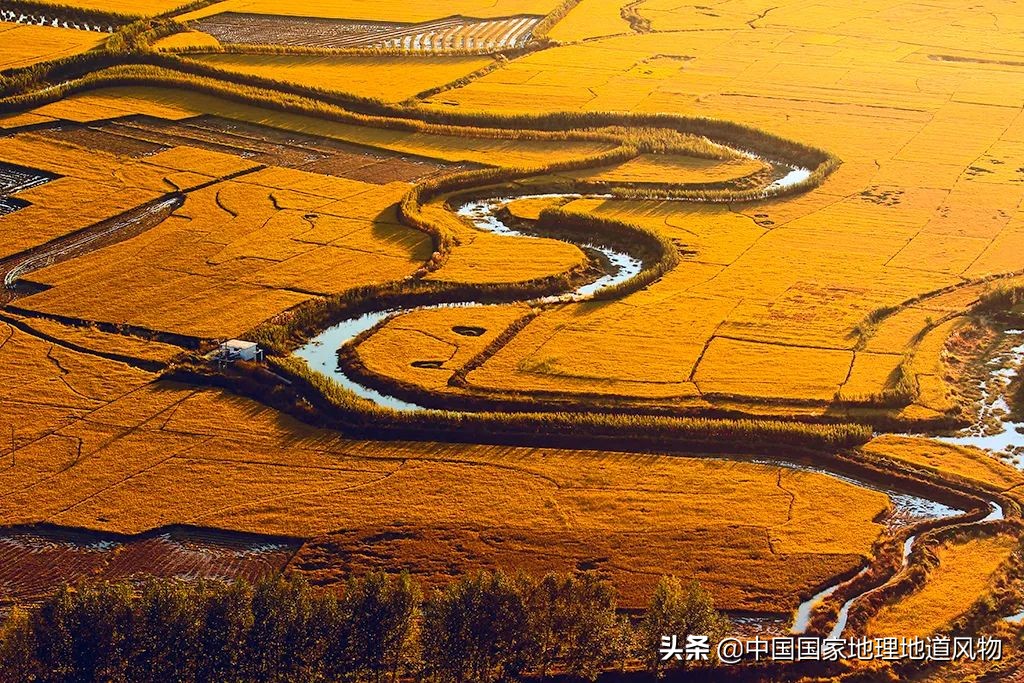 山东、河南、江苏、黑龙江…谁才是中国第一粮仓？