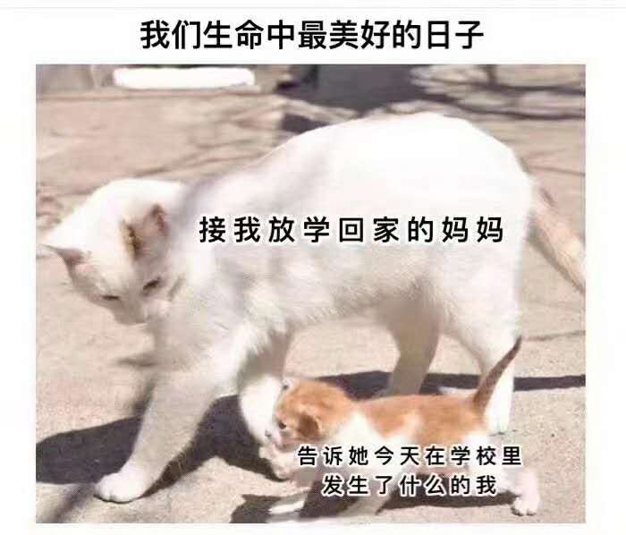 我们生命中最美好的日子