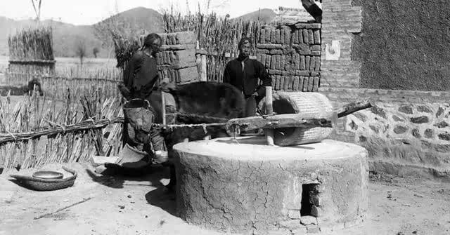 清代“中国人口大爆发”，真的是因为番薯推广吗？