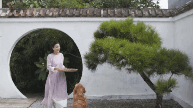 10个女友抱团进山，造出京郊一片超美野地