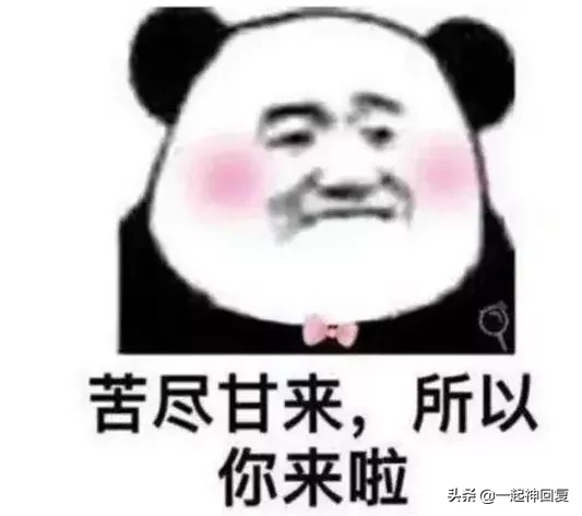 老年人相亲野到让人脸红