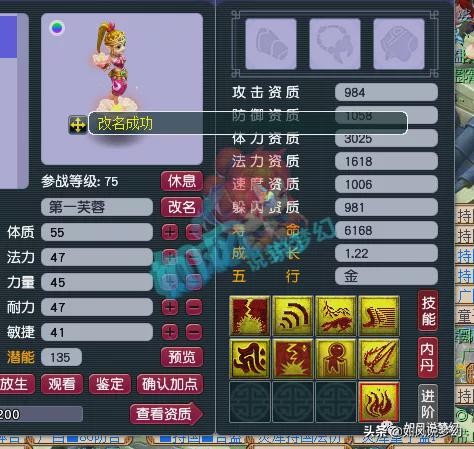 梦幻西游：老王更新净台护盾宝宝，全服第1的须弥芙蓉求超越？