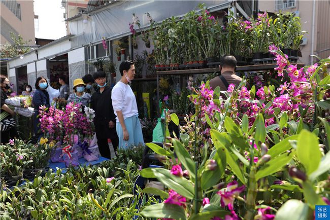 广州花市春节到逛广州最大的岭南花卉市场买盆年花就过年