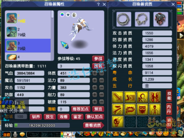 梦幻西游：69猥琐流女儿村，血耐加点很抗揍，自称“擂台单挑王”