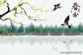 「洞见」苏轼：大雪过后，抬头看天