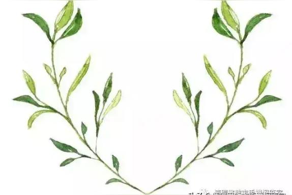 映字五笔输入法？
