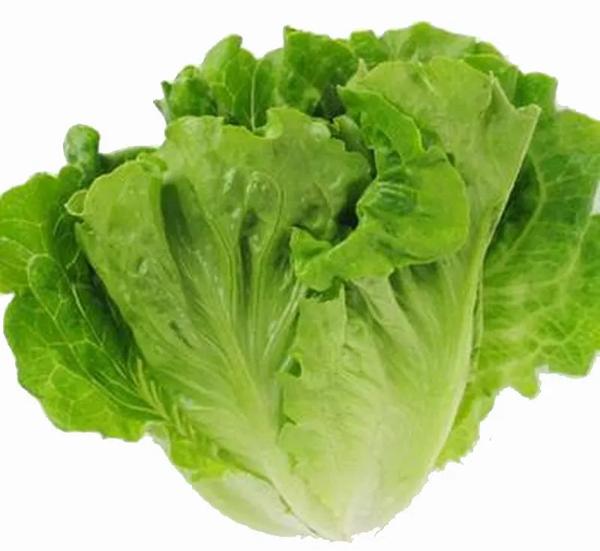 紫叶菜图片及食用价值(紫叶菜图片及食用价值大全)-七嘴八舌网