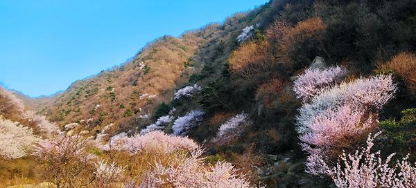 6205345905_d59a564256-160x160