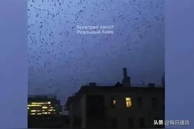 基辅上空出现成片乌鸦景象？假的