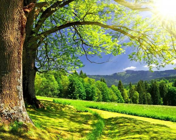 所有美好的瞬间我都想与你分享" u002634;唯美意境 u0026分享图片