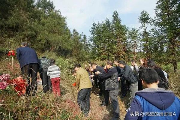 2023年2月2日什么节气（2023年2月2号是农历多少）