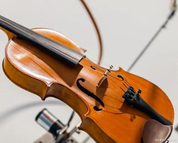 violin中文谐音（violet中文谐音）