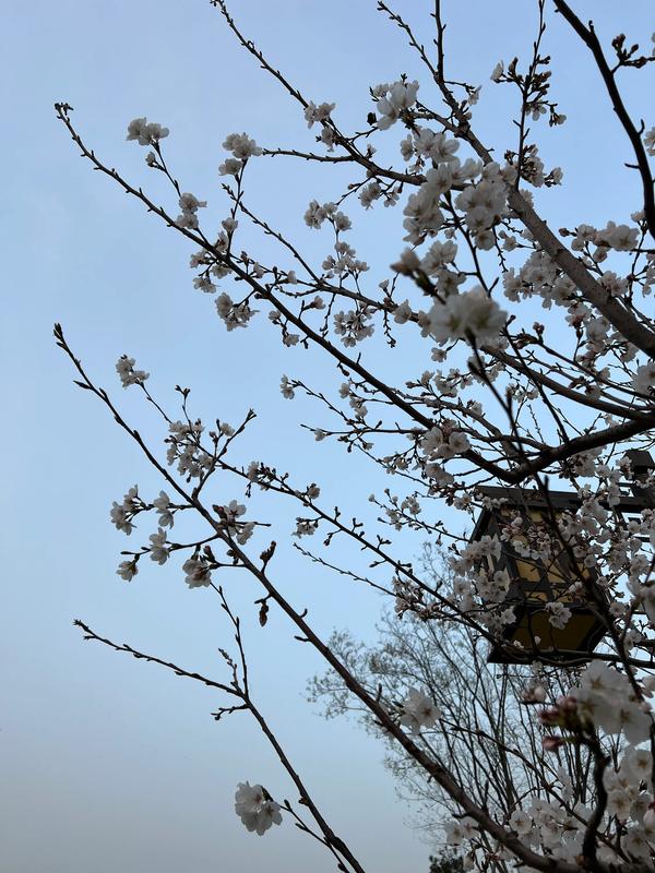 九月二十四节气（一年二十四个节气）