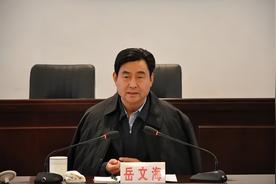 河南周口原“平坟市长”岳文海被查