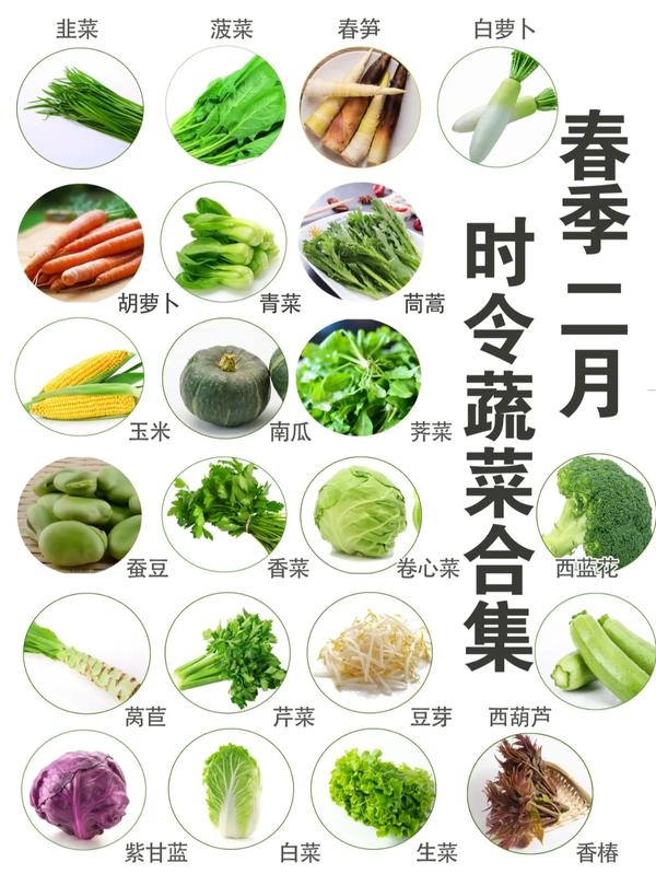 常见100种蔬菜图片（各种蔬菜图片及名称图片大全）