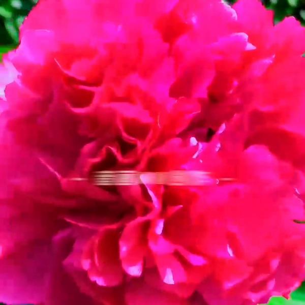 6205345905_d59a564256-160x160