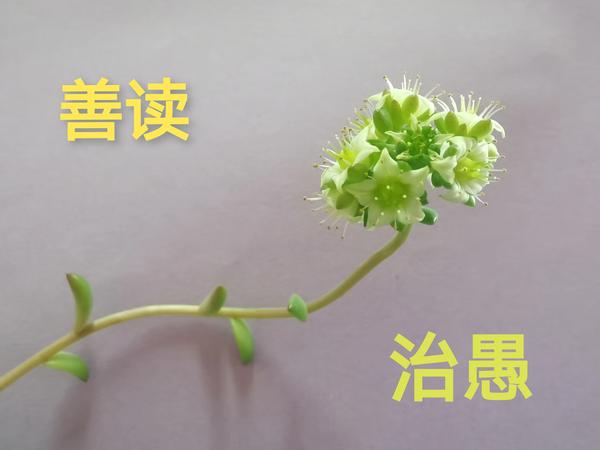 6205345905_d59a564256-160x160